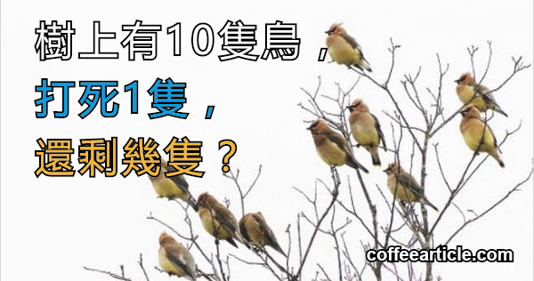 〝樹上有10隻鳥，打死1隻，還剩幾隻？〞這小學生的回答太牛了！