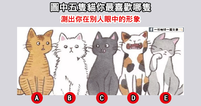 五隻貓你最喜歡哪隻?看出你在別人眼中的形象！