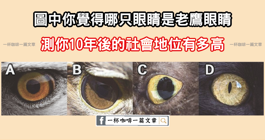 圖中你覺得哪只眼睛是老鷹眼睛？測你10年後的社會地位有多高？