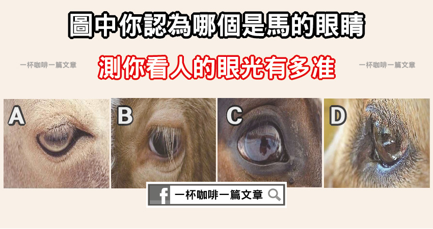 圖中你認為哪個是馬的眼睛，測你看人的眼光有多准！
